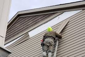 Best Siding Painting and Refinishing  in Frankfort, IL